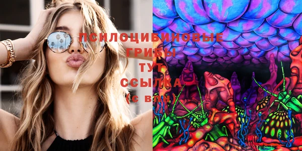 СК Алексеевка