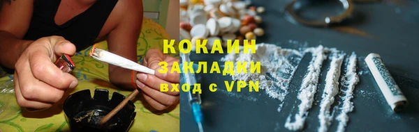 твердый Алексин