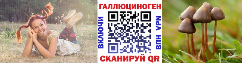 мега Козьмодемьянск Псилоцибиновые грибы ЛСД